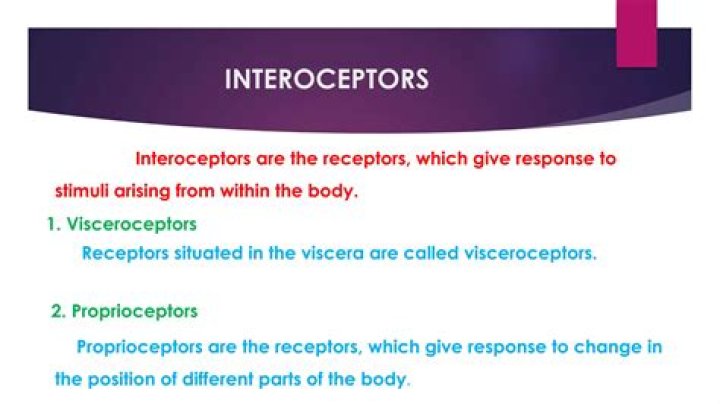 Where are interoceptors located?