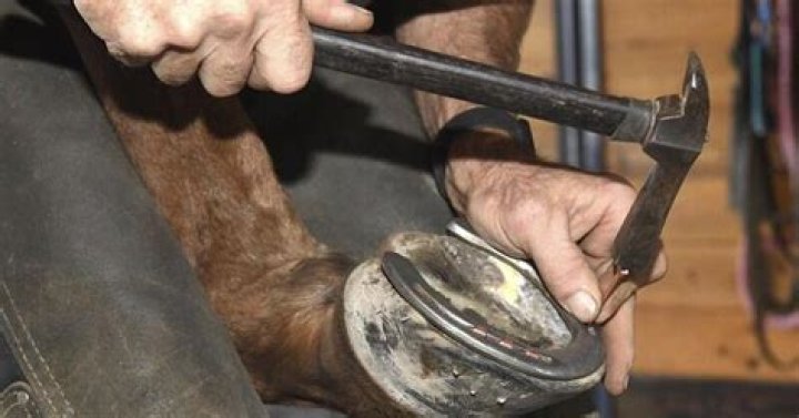 Where did the term hoofing it come from?