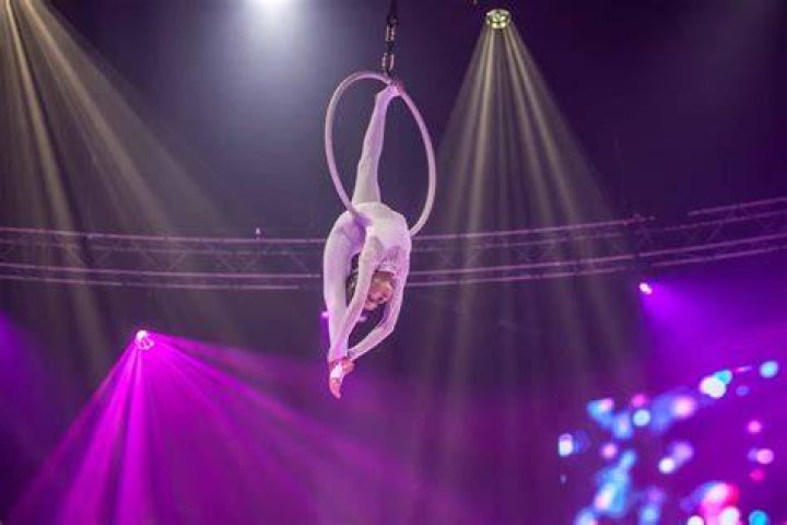 Where does acrobatic come from?