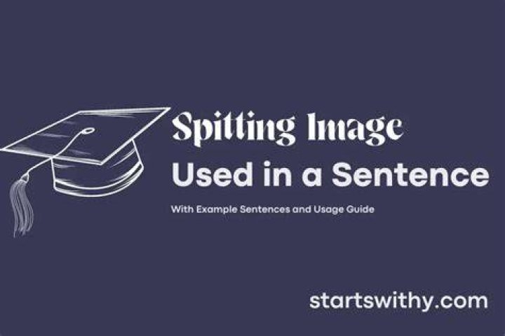 Where does phrase spitting image come from?