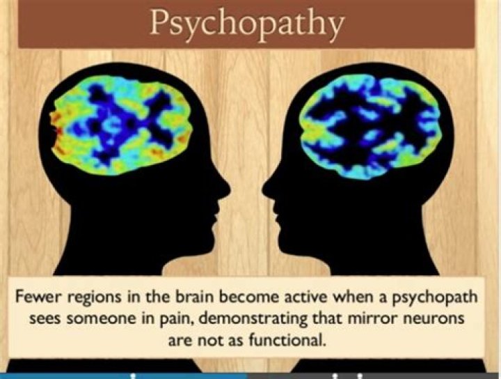 Where does psychopathy come from?