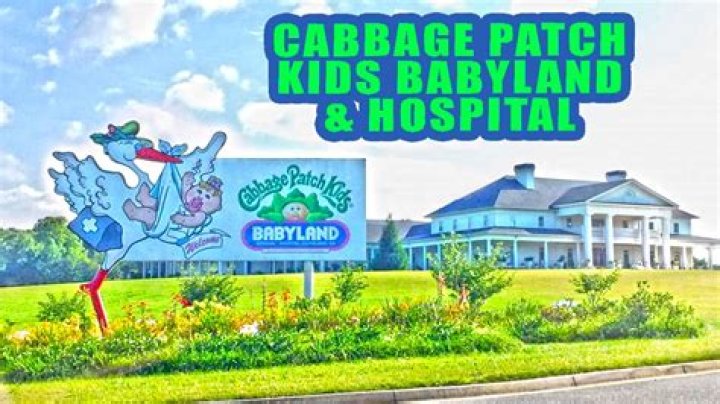 Where is the cabbage patch hospital?