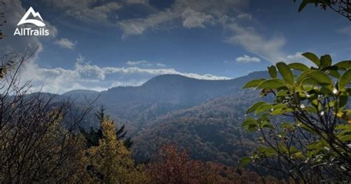 Where is wildcat falls?