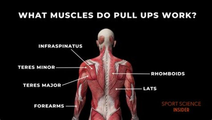 Where to pull ups?