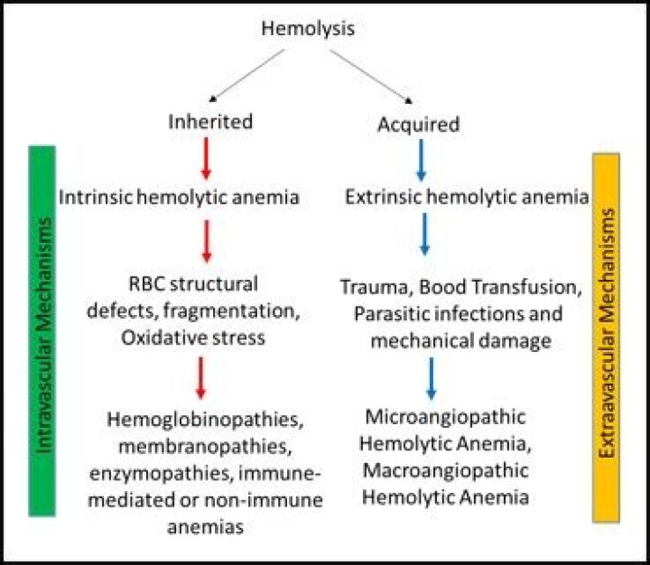 Which analytes are affected by hemolysis?