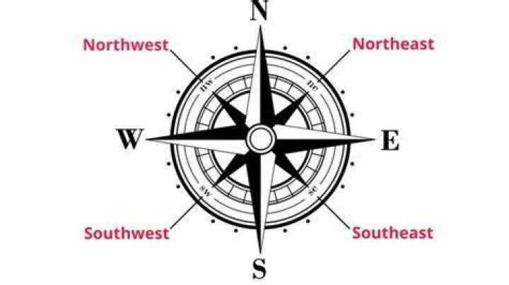 Which direction do the setae point?