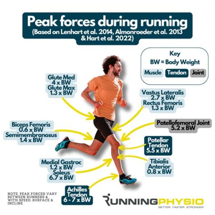 Which first running or weights?