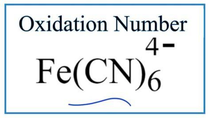 Which ion will oxidize fe?