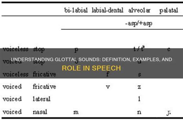 Which is a glottal sound?