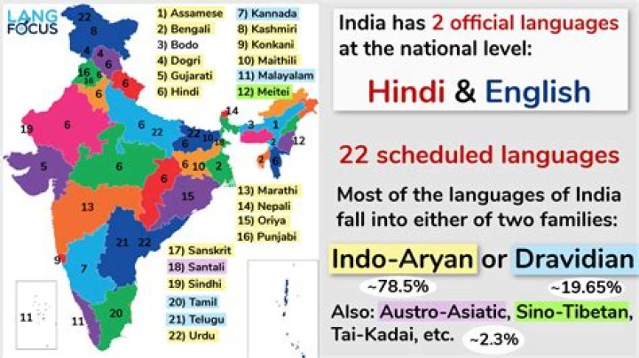 Which language is used in india?