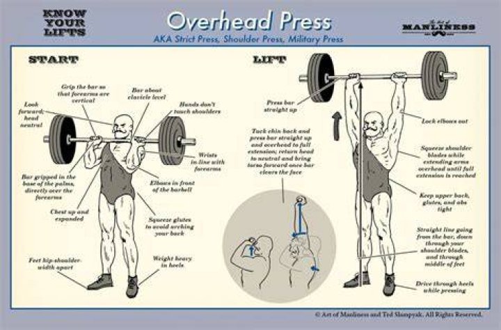 Which muscles do overhead press work?