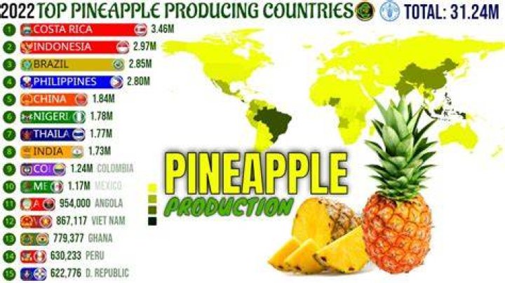 Which state produces pineapple?