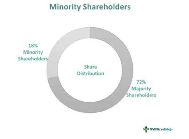 Who are minority shareholders?