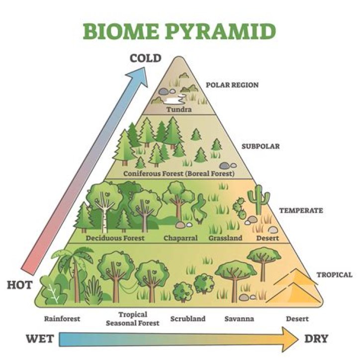 Who do biomes differ?