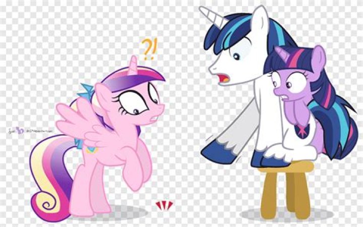 Who does twilight sparkle marry?