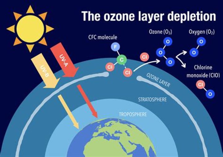 Who found out about the ozone layer?