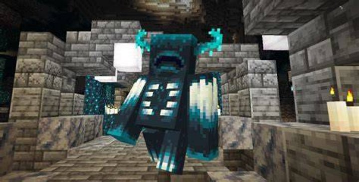 Who is warden in minecraft?