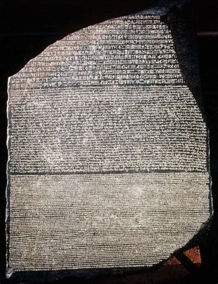 Why are stele important?