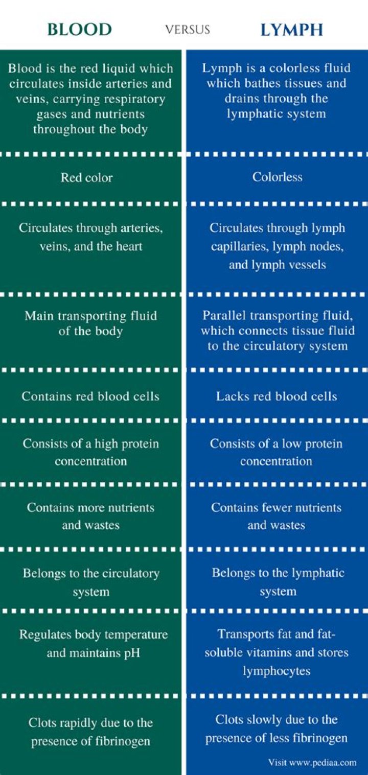 Why difference between blood and lymph?