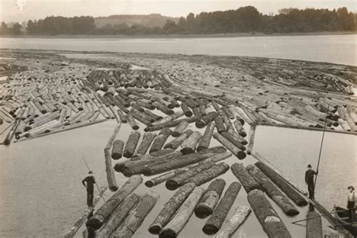 Why do lumber yards water logs?
