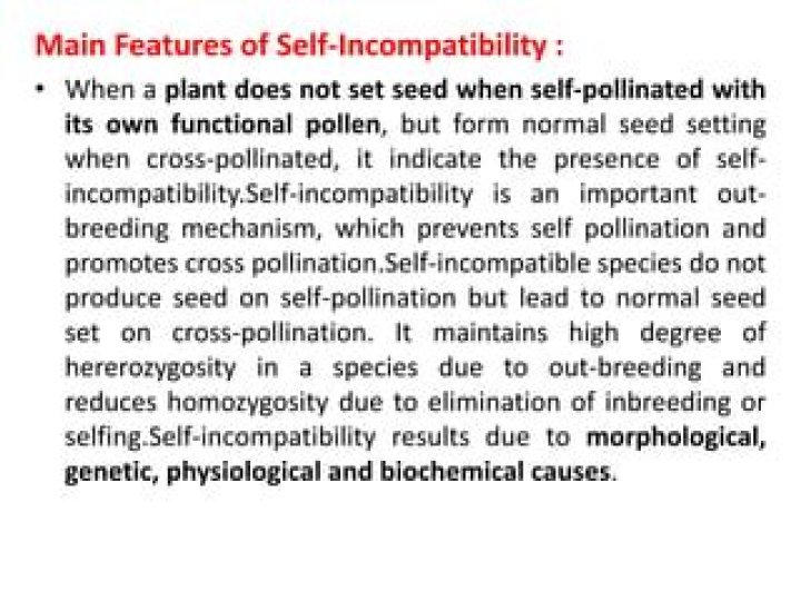 Why does self-incompatibility exist?