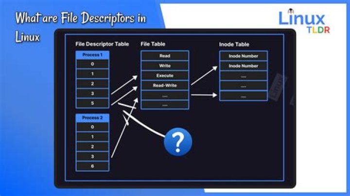 Why file descriptor is used?