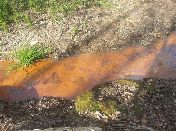 Why is my water rust colored?