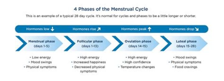Why mood changes during menstrual cycle?