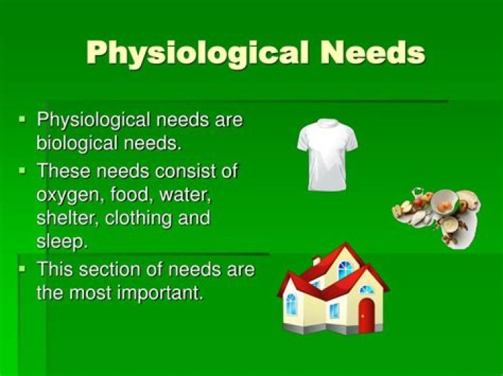 Why physiological needs important?