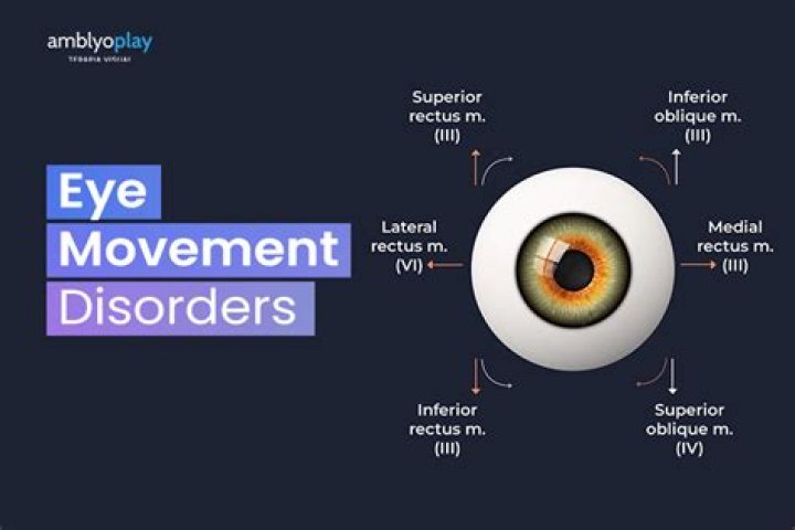 Why saccadic eye movement?