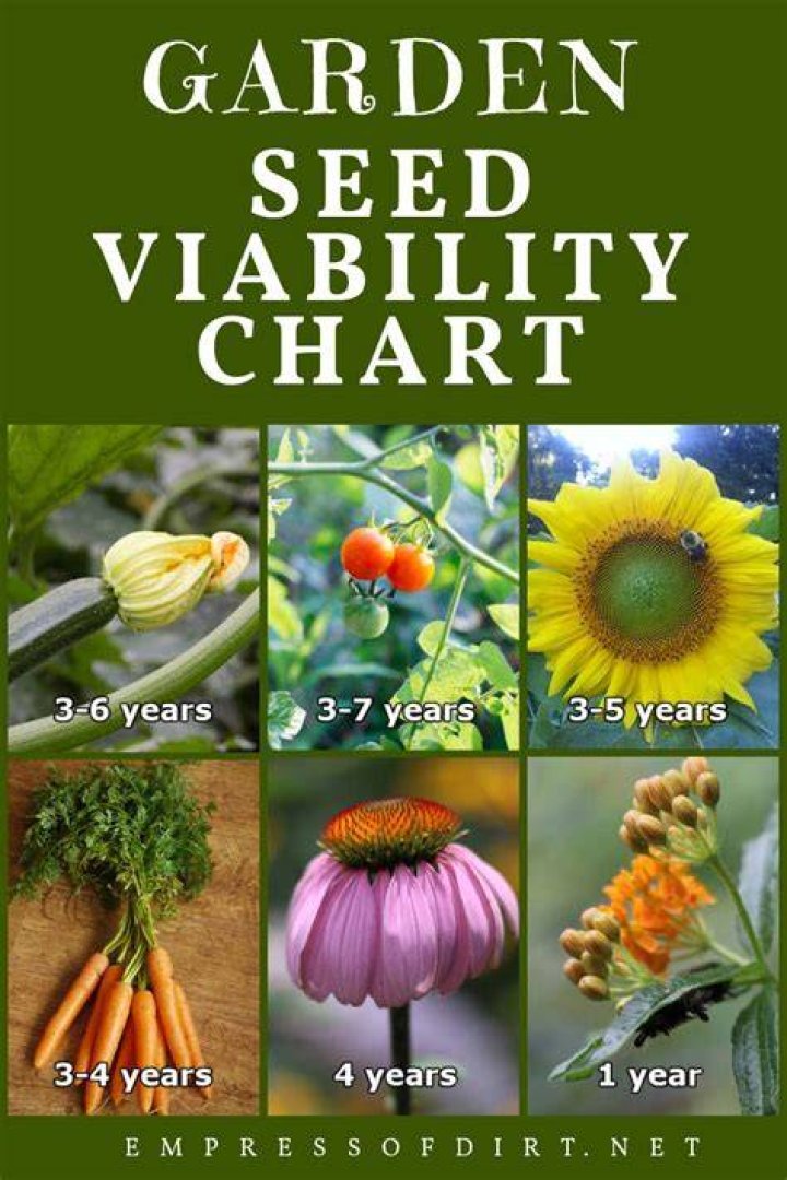 Why seed viability is important?