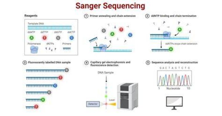 Why sequencing is useful?