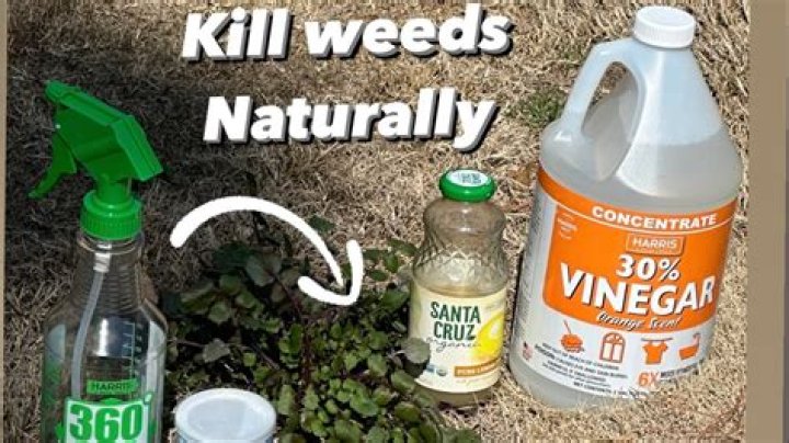 Will calcium chloride kill weeds?