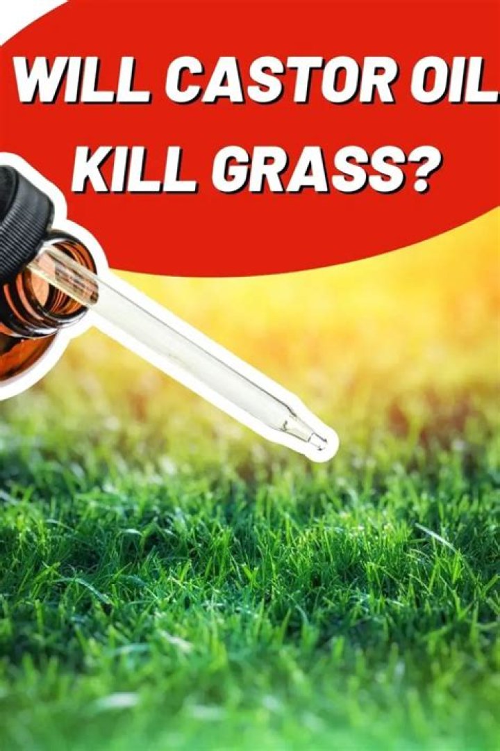 Will caster oil kill grass?