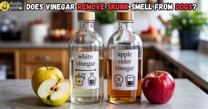 Will dnr remove skunks?