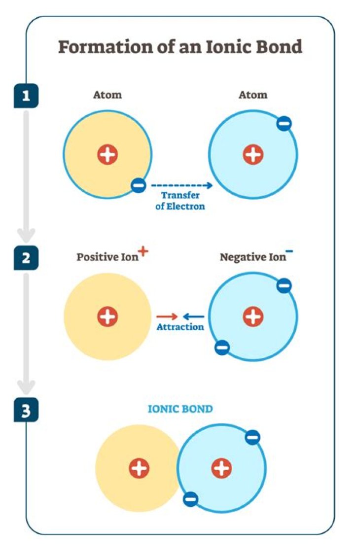 Will k form negative ions?