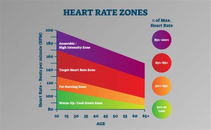 Will ramipril lower heart rate?